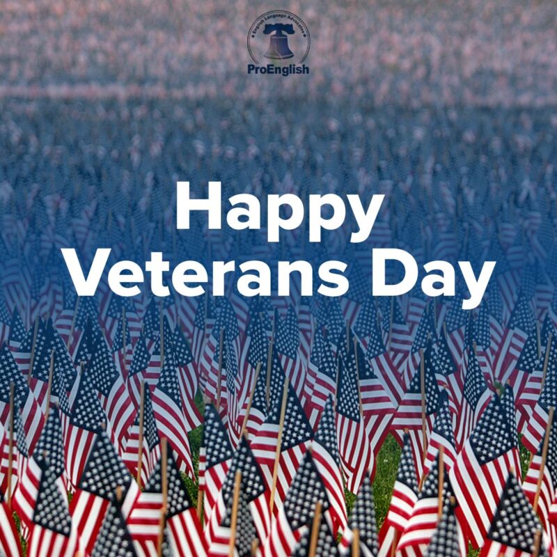 Image for the Tweet beginning: Today we honor America's veterans.
